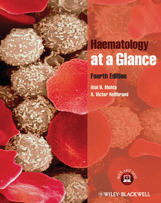 Hoffbrand A. Victor. Haematology at a Glance