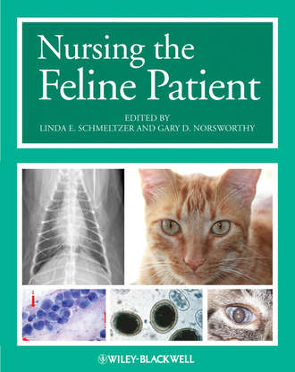 Nursing the Feline Patient. Norsworthy Gary D.