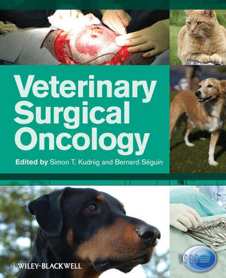 S?guin Bernard. Veterinary Surgical Oncology