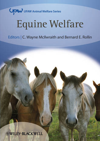 McIlwraith C. Wayne. Equine Welfare