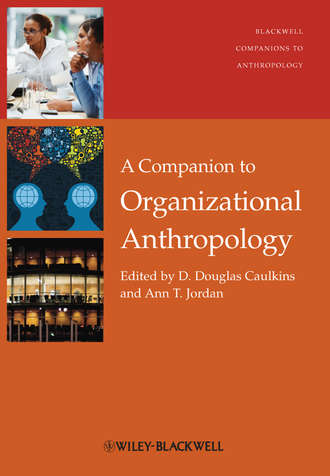 Caulkins D. Douglas. A Companion to Organizational Anthropology