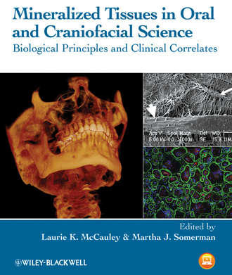 Somerman Martha J.. Mineralized Tissues in Oral and Craniofacial Science. Biological Principles and Clinical Correlates