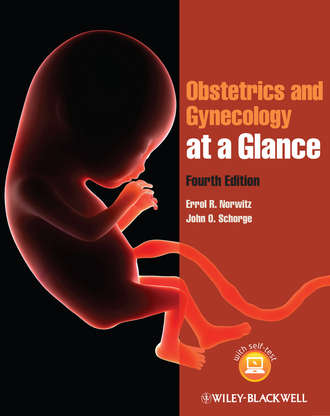 Norwitz Errol R.. Obstetrics and Gynecology at a Glance