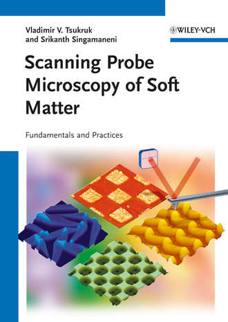 Singamaneni Srikanth. Scanning Probe Microscopy of Soft Matter. Fundamentals and Practices