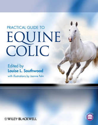 Fehr Joanne. Practical Guide to Equine Colic