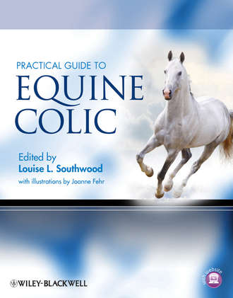 Practical Guide to Equine Colic. Fehr Joanne