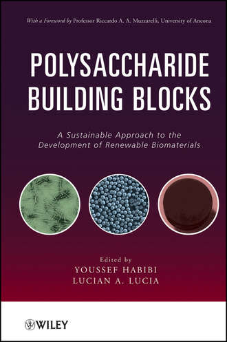 Lucia Lucian A.. Polysaccharide Building Blocks. A Sustainable Approach to the Development of Renewable Biomaterials