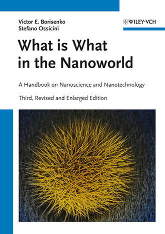 What is What in the Nanoworld. A Handbook on Nanoscience and Nanotechnology. Ossicini Stefano