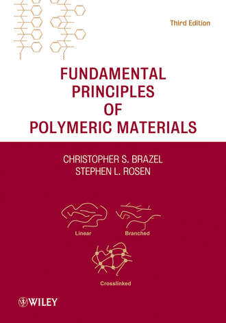 Fundamental Principles of Polymeric Materials. Rosen Stephen L.