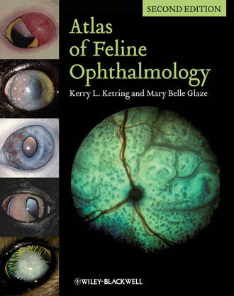 Glaze Mary Belle. Atlas of Feline Ophthalmology