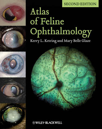 Atlas of Feline Ophthalmology. Glaze Mary Belle