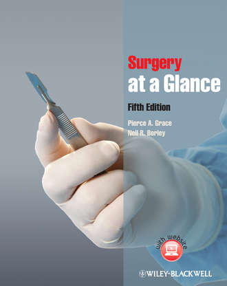 Borley Neil R.. Surgery at a Glance