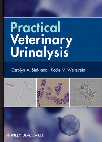 Sink Carolyn A.. Practical Veterinary Urinalysis