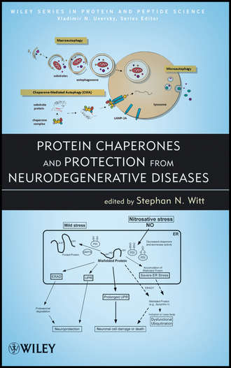 Witt Stephan N.. Protein Chaperones and Protection from Neurodegenerative Diseases