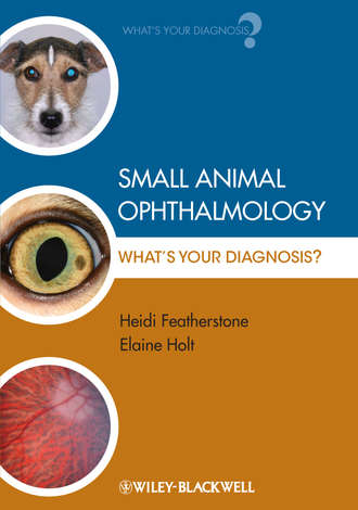 Featherstone Heidi. Small Animal Ophthalmology. What's Your Diagnosis?