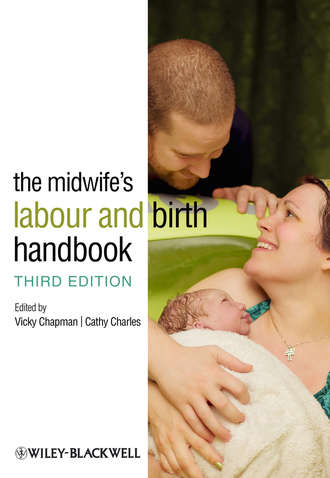 Charles Cathy. The Midwife's Labour and Birth Handbook
