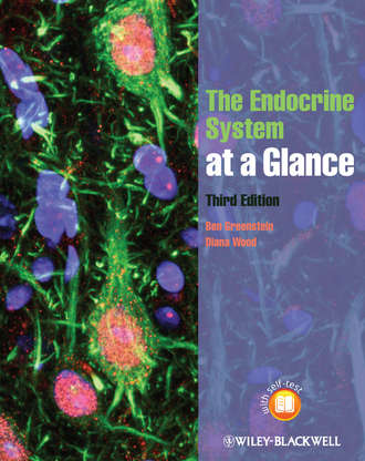 The Endocrine System at a Glance. Wood Diana