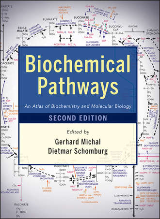 Schomburg Dietmar. Biochemical Pathways. An Atlas of Biochemistry and Molecular Biology