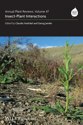 Voelckel Claudia. Annual Plant Reviews, Insect-Plant Interactions