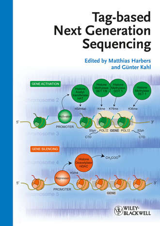 Harbers Matthias. Tag-based Next Generation Sequencing