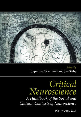 Choudhury Suparna. Critical Neuroscience. A Handbook of the Social and Cultural Contexts of Neuroscience