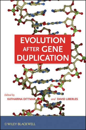 Dittmar Katharina. Evolution after Gene Duplication