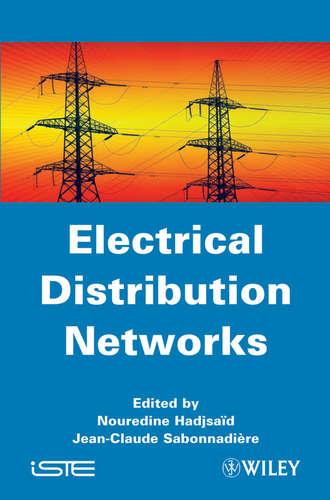 Sabonnadi?re Jean-Claude. Electrical Distribution Networks