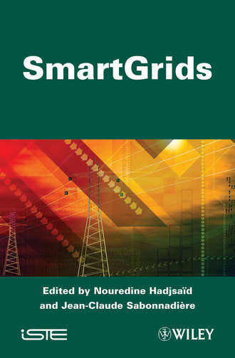 Smart Grids. Sabonnadi?re Jean-Claude