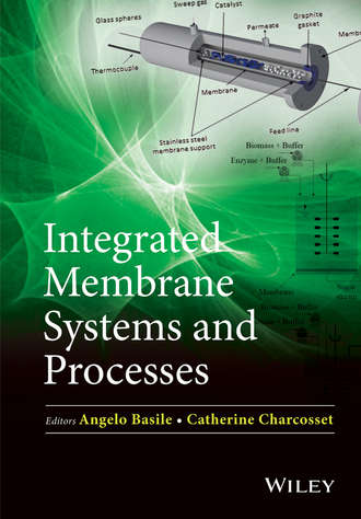 Angelo Basile. Integrated Membrane Systems and Processes