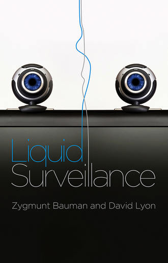 Zygmunt Bauman. Liquid Surveillance. A Conversation