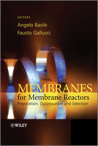 Gallucci Fausto. Membranes for Membrane Reactors. Preparation, Optimization and Selection