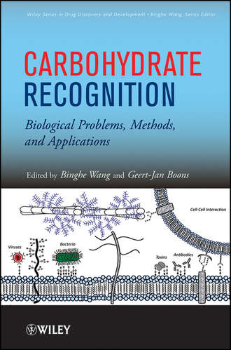 Wang Binghe. Carbohydrate Recognition. Biological Problems, Methods, and Applications
