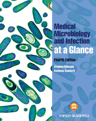 Bamford Kathleen. Medical Microbiology and Infection at a Glance