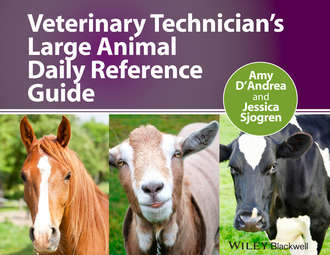 Veterinary Technician's Large Animal Daily Reference Guide. D'Andrea Amy