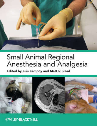 Small Animal Regional Anesthesia and Analgesia. Read Matt