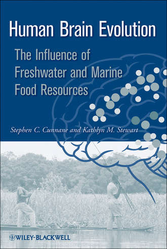 Stewart Kathlyn. Human Brain Evolution. The Influence of Freshwater and Marine Food Resources