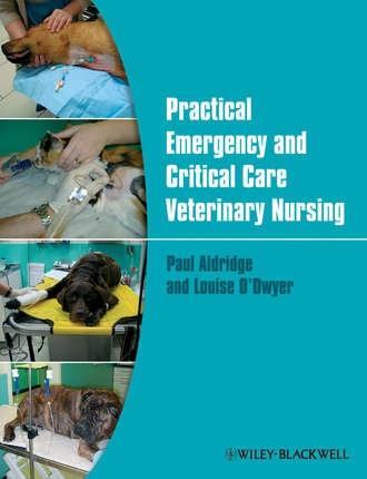 Practical Emergency and Critical Care Veterinary Nursing. Aldridge Paul