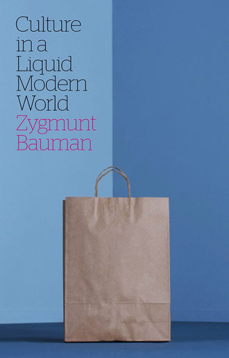 Zygmunt Bauman. Culture in a Liquid Modern World