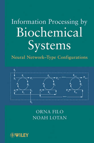 Filo Orna. Information Processing by Biochemical Systems. Neural Network-Type Configurations