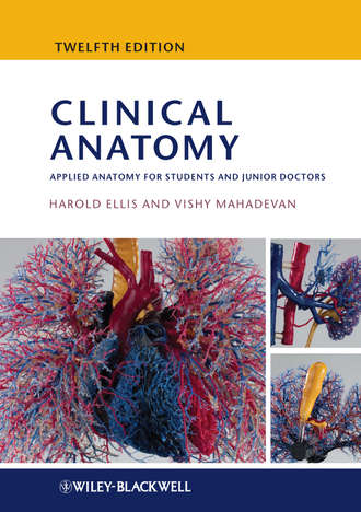 Ellis Harold. Clinical Anatomy. Applied Anatomy for Students and Junior Doctors