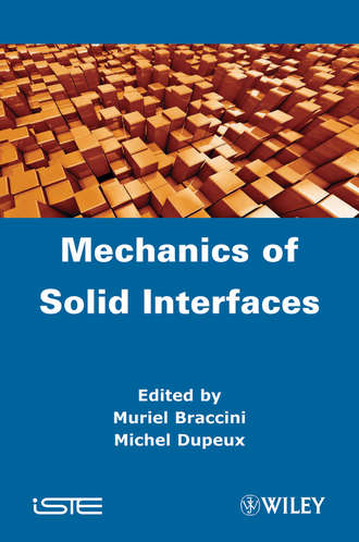 Braccini Muriel. Mechanics of Solid Interfaces