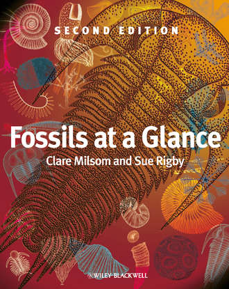 Milsom Clare. Fossils at a Glance