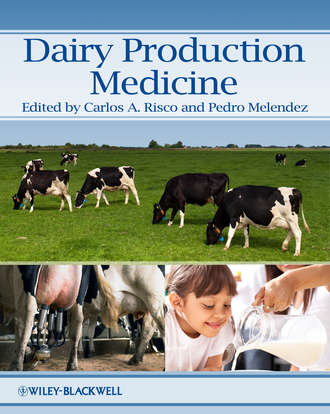 Dairy Production Medicine. Melendez Pedro