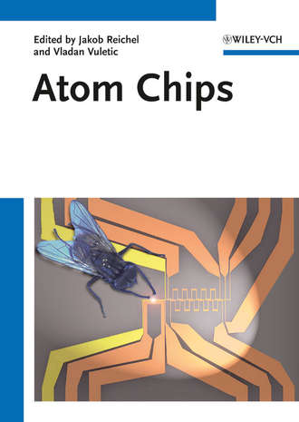 Reichel Jakob. Atom Chips