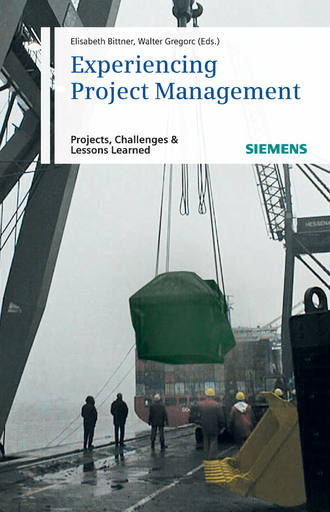 Bittner Elisabeth. Experiencing Project Management. Projects, Challenges and Lessons Learned