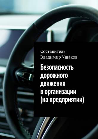 Владимир Игоревич Ушаков. Безопасность дорожного движения в организации (на предприятии)