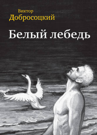 Виктор Иванович Добросоцкий. Белый лебедь (сборник)