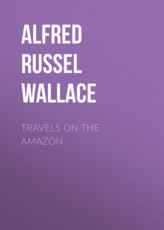Alfred Russel Wallace. Travels on the Amazon
