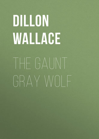 Dillon Wallace. The Gaunt Gray Wolf