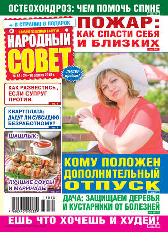 Народный совет №18/2018. Группа авторов